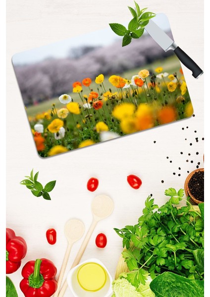 Model 193 Cam Kesme Tahtası 30 cm x 40 cm