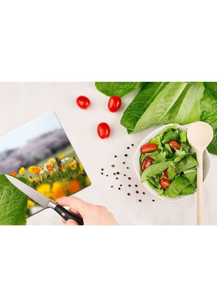 Model 193 Cam Kesme Tahtası 30 cm x 40 cm fiyatları