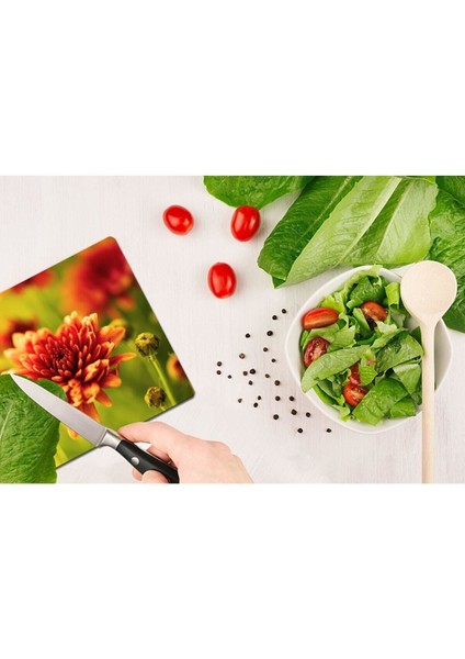 Model 200 Cam Kesme Tahtası 30 cm x 40 cm fiyatları