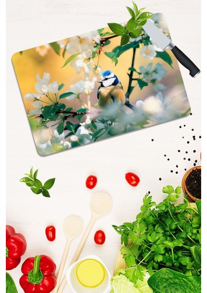 Model 198 Cam Kesme Tahtası 30 cm x 40 cm