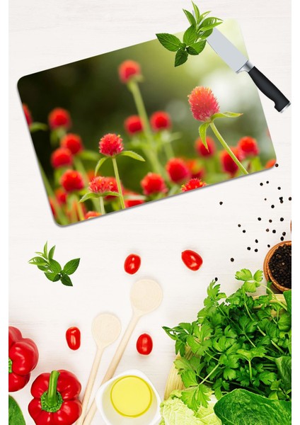 Model 197 Cam Kesme Tahtası - Cam Kesme Tablası 30 cm x 40 cm