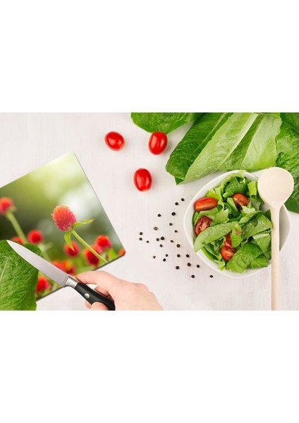 Model 197 Cam Kesme Tahtası - Cam Kesme Tablası 30 cm x 40 cm fiyatları