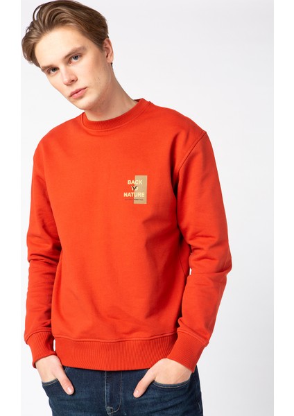 Erkek Sweatshirt 62143-30034