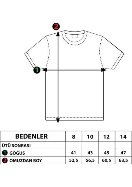 Toontoy Erkek Çocuk Iki Renkli Baskılı Tişört modelleri