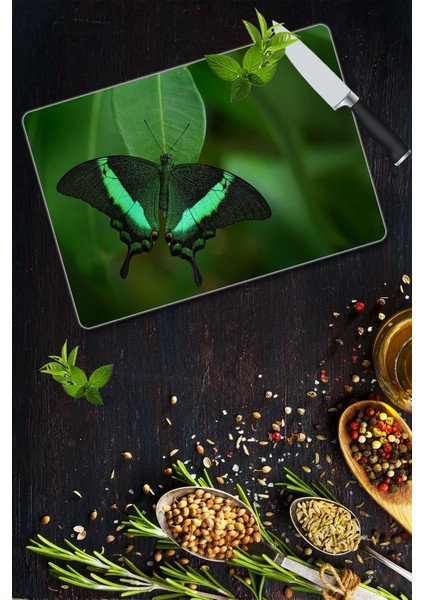 Cam Kesme Tahtası - Cam Kesme Tablası | Model 59 30 cm. x 40 cm.