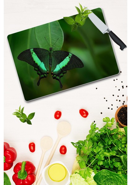 Cam Kesme Tahtası - Cam Kesme Tablası | Model 59 30 cm. x 40 cm. fiyatları