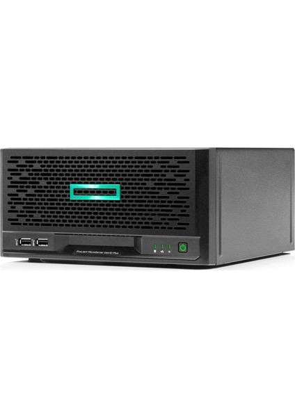 P16006-421 Mıcro Server GEN10 E-2224 16G Nhp