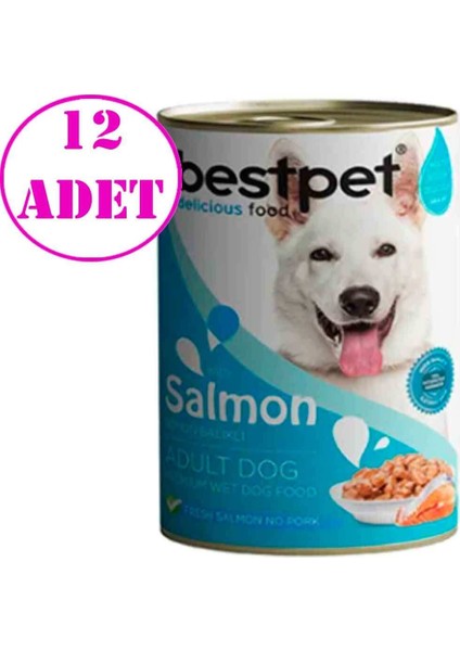 Somonlu Soslu Yetişkin Köpek Konservesi 400 gr 12 Adet