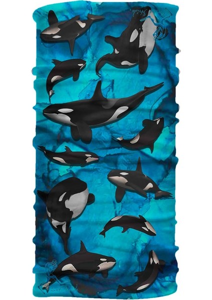 Orca Tube fiyatları