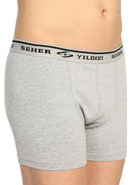 0060 Likralı Erkek 6'lı Gri Boxer