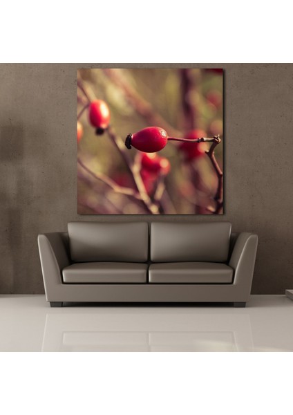 Kuş Burnu 80 x 80 cm fiyatları