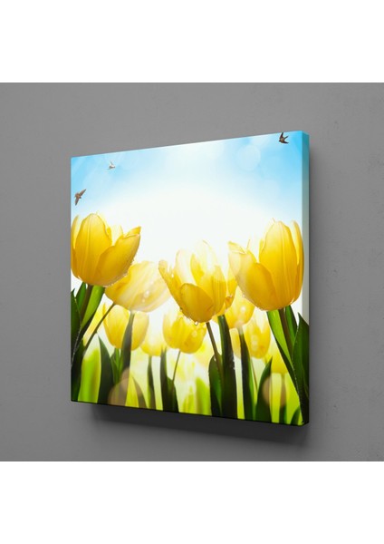 Lale 2 110 x 110 cm