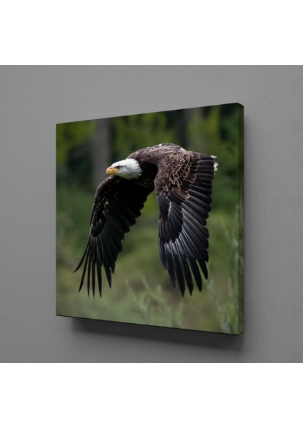 Kartal 180 x 180 cm