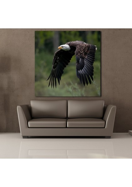 Kartal 180 x 180 cm