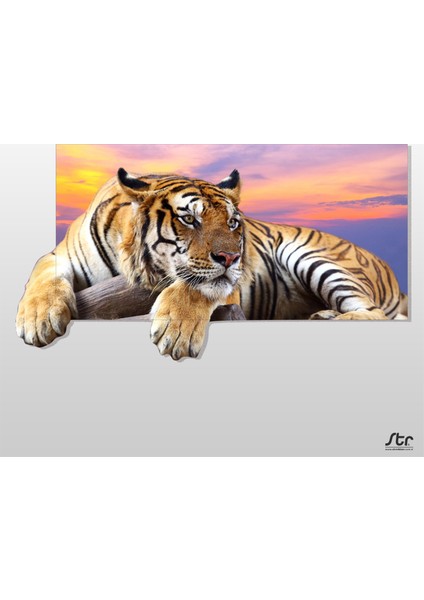 Kaplan Kanvas Tablo 80 x 40 cm