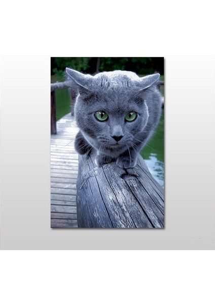 Kedi Gri Kanvas Tablo 120 x 60