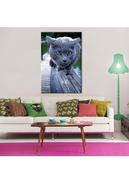 Kedi Gri Kanvas Tablo 120 x 60 fırsatları