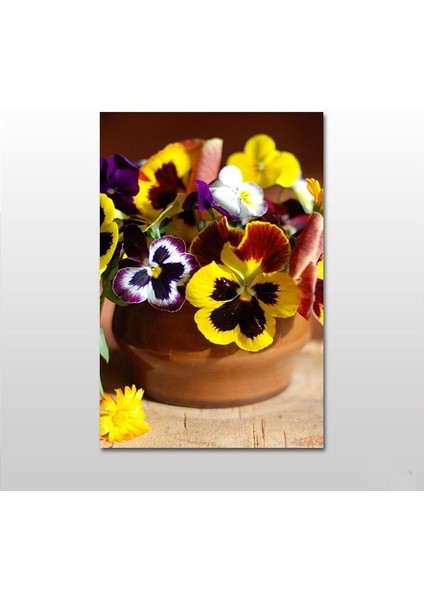 Saksı ve Menekşe Kanvas Tablo 40 x 20
