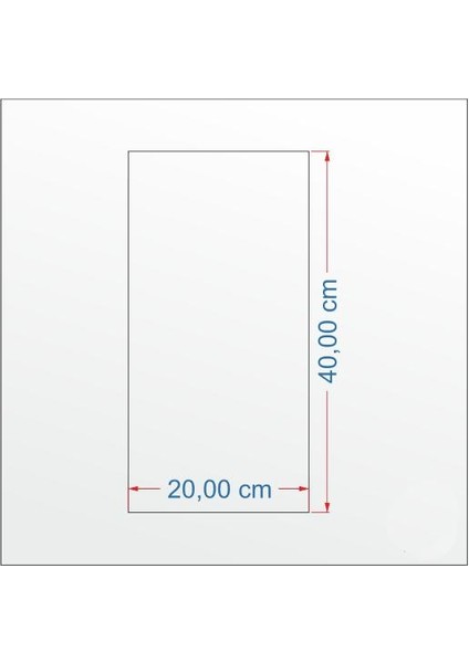 Saksı ve Menekşe Kanvas Tablo 40 x 20