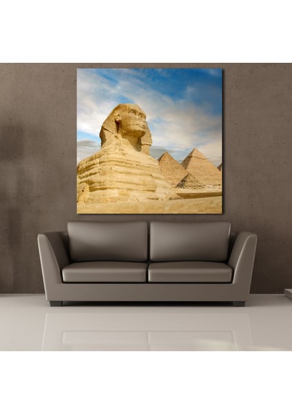 Pramit 70 x 70 cm