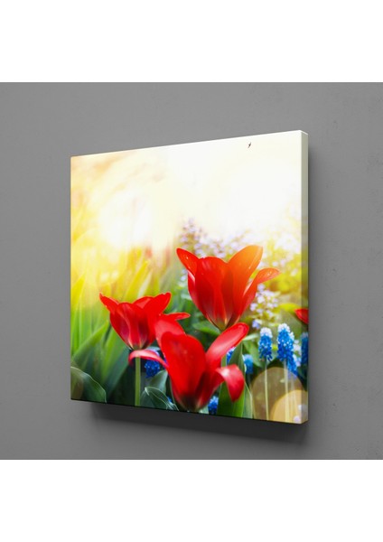 Kırmızı Çiçekler 90 x 90 cm