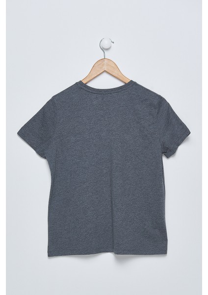 Kadın Gri Basic T-Shirt