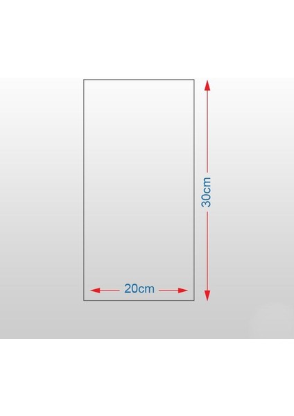 Kartal Kanvas Tablo 70 x 105 cm