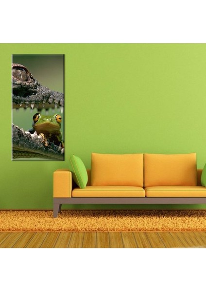 Timsah ve Kurbağa Kanvas Tablo 50 x 75 cm