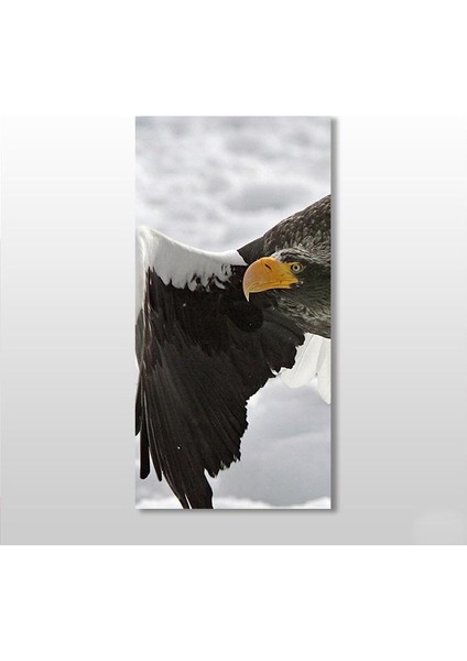 Kartal Kanvas Tablo 40 x 60 cm