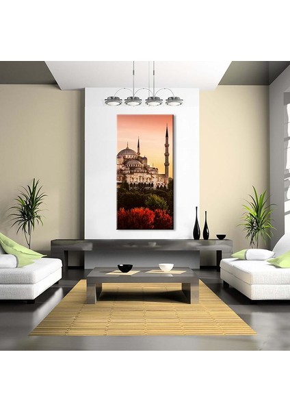 Süleymaniye Camii Kanvas Tablo 140 x 210 cm fırsatları