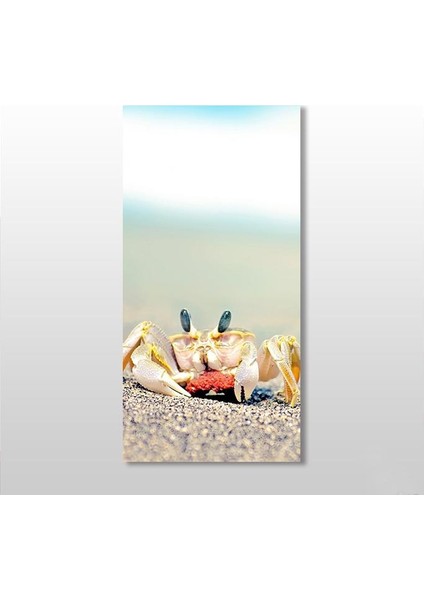 Yengeç Kanvas Tablo 40 x 60 cm