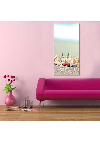 Yengeç Kanvas Tablo 40 x 60 cm modelleri