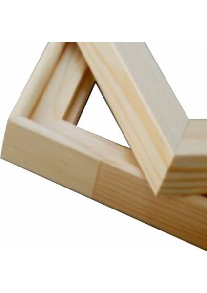 Ahtapot Kanvas Tablo 20 x 30 cm
