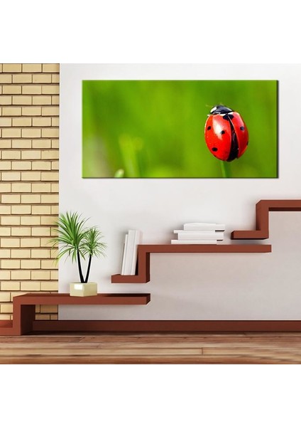 Uğur Böceği Kanvas Tablo 80 x 40 cm fırsatları