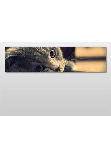 Kedi Kanvas Tablo 270 x 90 cm