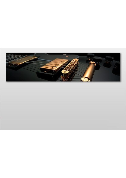 Gitar Yayları Kanvas Tablo 60 x 20 cm
