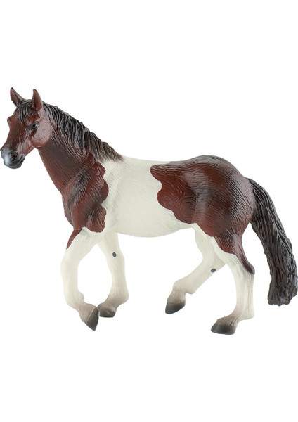 Mare At
