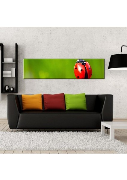 Uğur Böceği Kanvas Tablo 270 x 90 cm