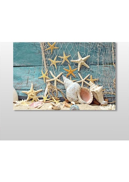 Deniz Yıldızı ve Deniz Kabuğu Kanvas Tablo 30 x 20 cm