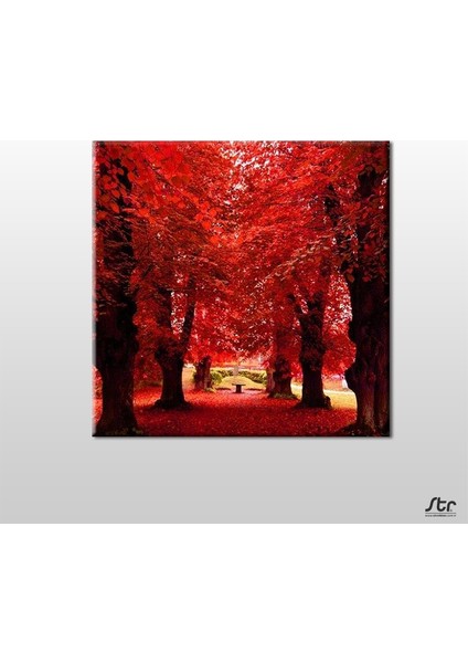 Sonbahar Ağaçlar Kanvas Tablo 40 x 40 cm