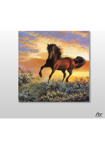 At Koşan Kanvas Tablo 120 x 120 cm