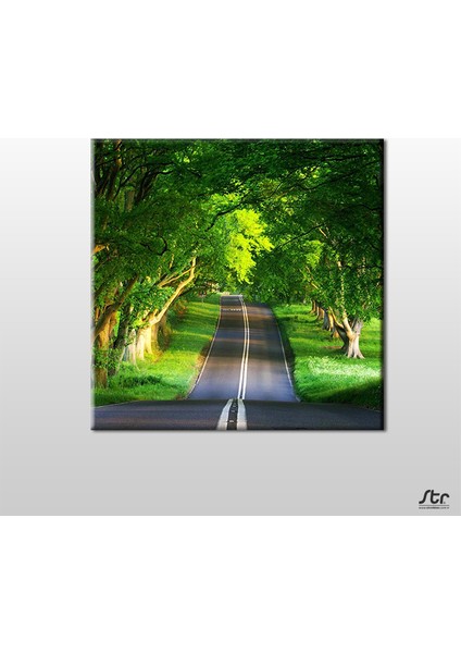 Orman Içindeki Yol Kanvas Tablo 170 x 170 cm