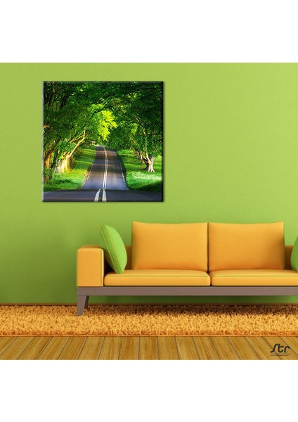 Orman Içindeki Yol Kanvas Tablo 170 x 170 cm