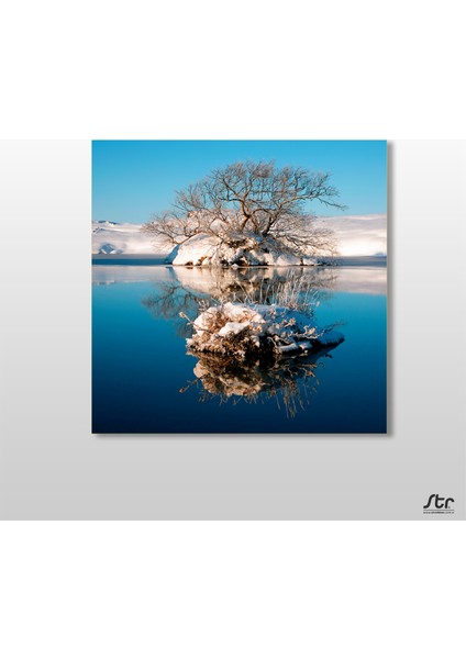 Göl ve Kuruyan Ağaç Kanvas Tablo 80 x 80 cm