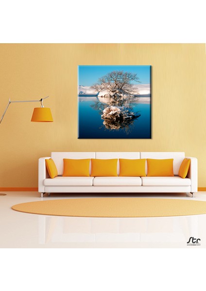 Göl ve Kuruyan Ağaç Kanvas Tablo 80 x 80 cm