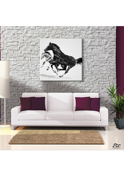 At Çift Kanvas Tablo 100 x 100 cm fiyatları