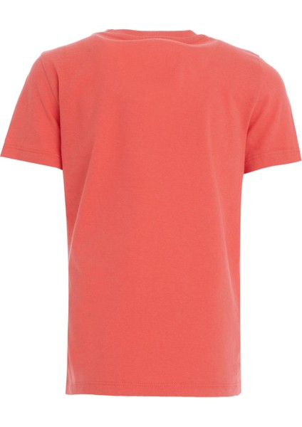 Erkek Çocuk Yazı Baskılı Kısa Kollu Tişört fiyatları