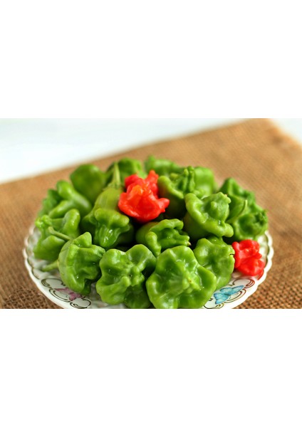 Gül Biberi (Capsicum) fiyatları