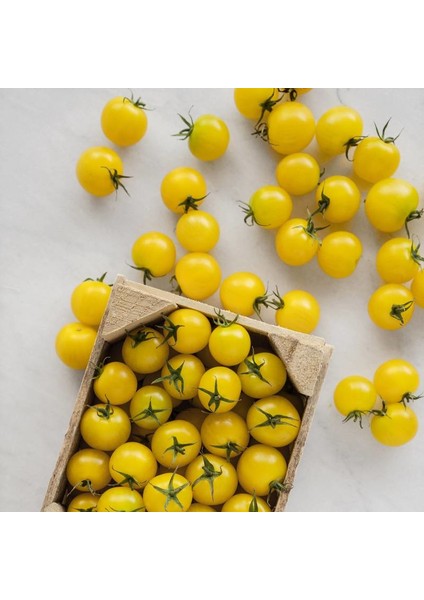 Sarı Cherry Domates Tohumu 10'lu
