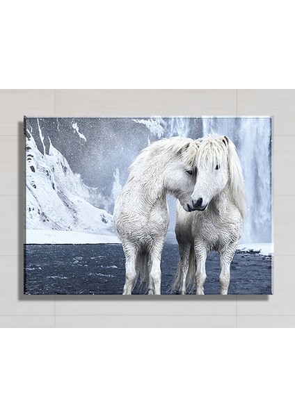 Beyaz Midilliler Fotograf Sanatı Kanvas Tablo TBL1600 (35X50 Cm)